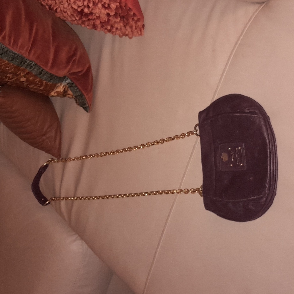 🌺JUICY COUTURE Crossbody